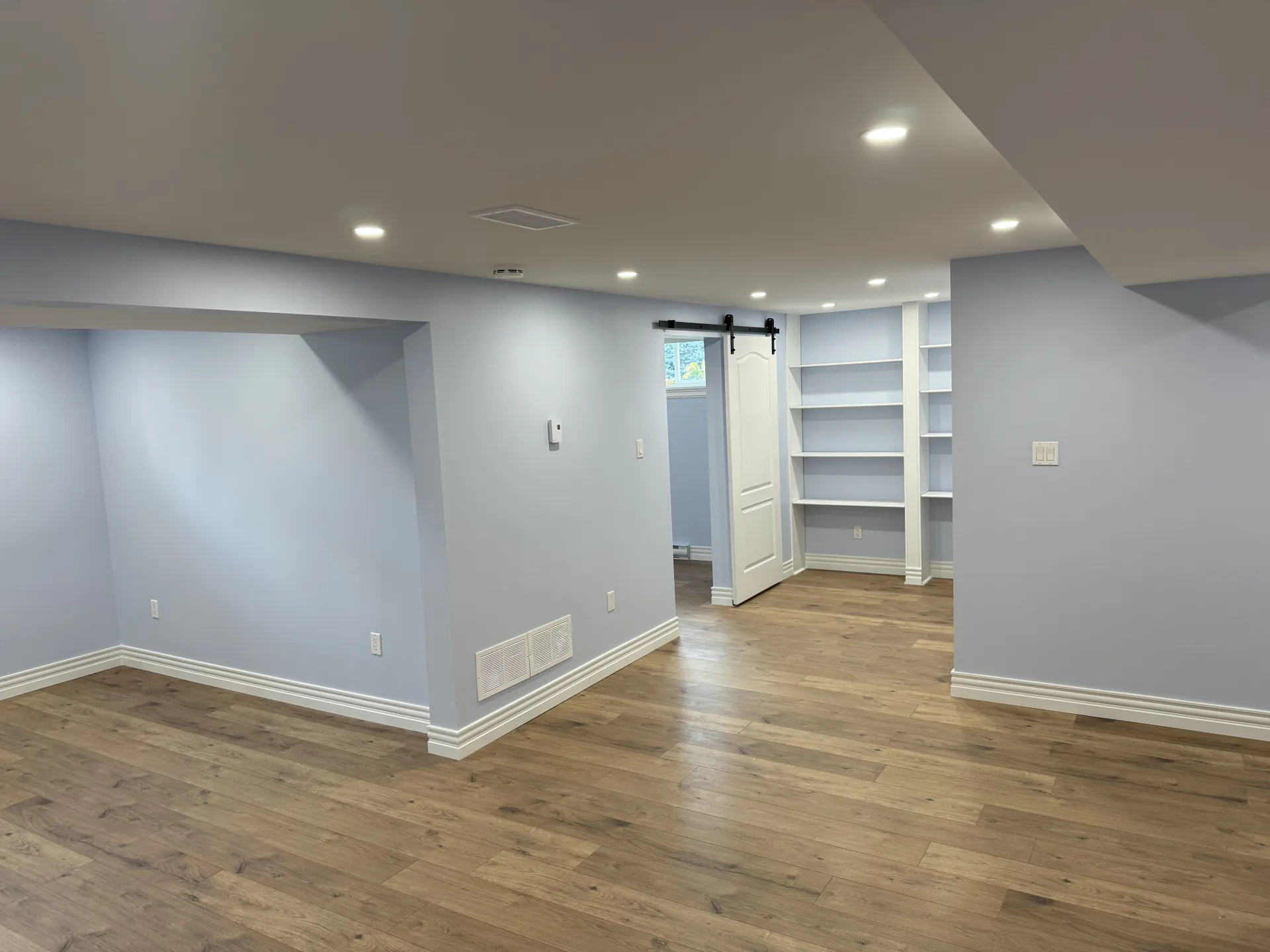 Basement Finishing - Photo 4