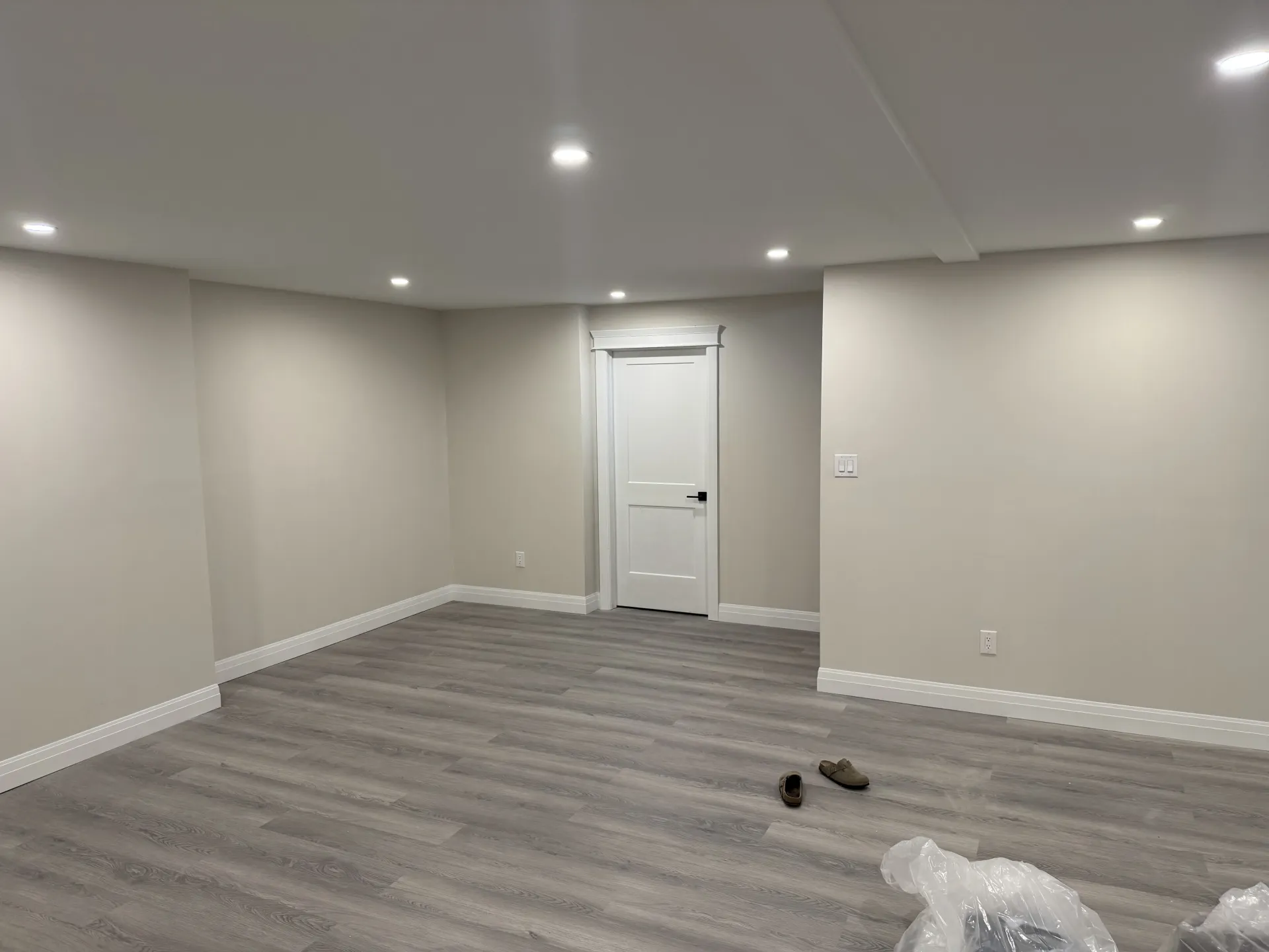 Basement Finishing - Photo 6